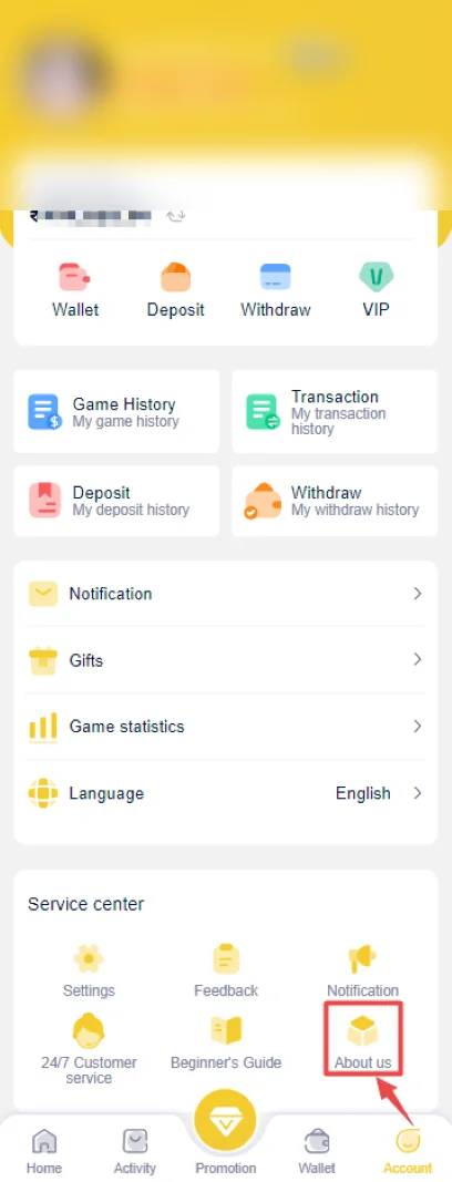 IN999 account center, wallet and service options
