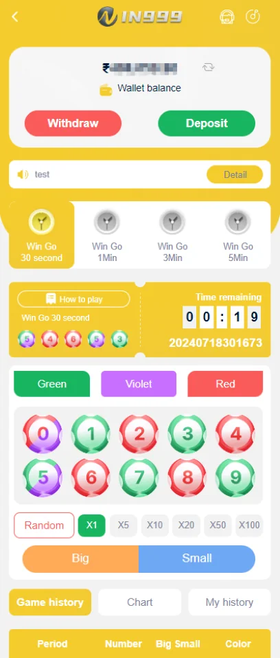 IN999 Wingo dashboard and wallet